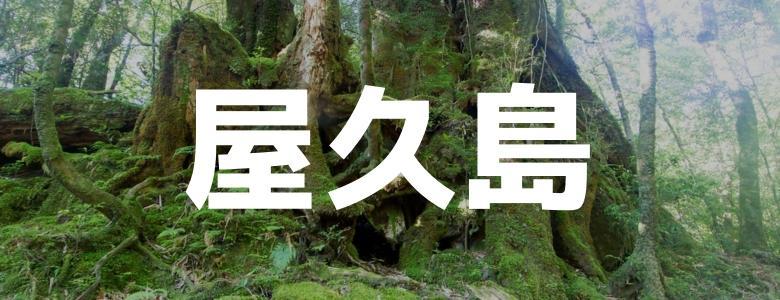 九州で住み込みリゾートバイト|ダイブは求人数No.1（屋久島）